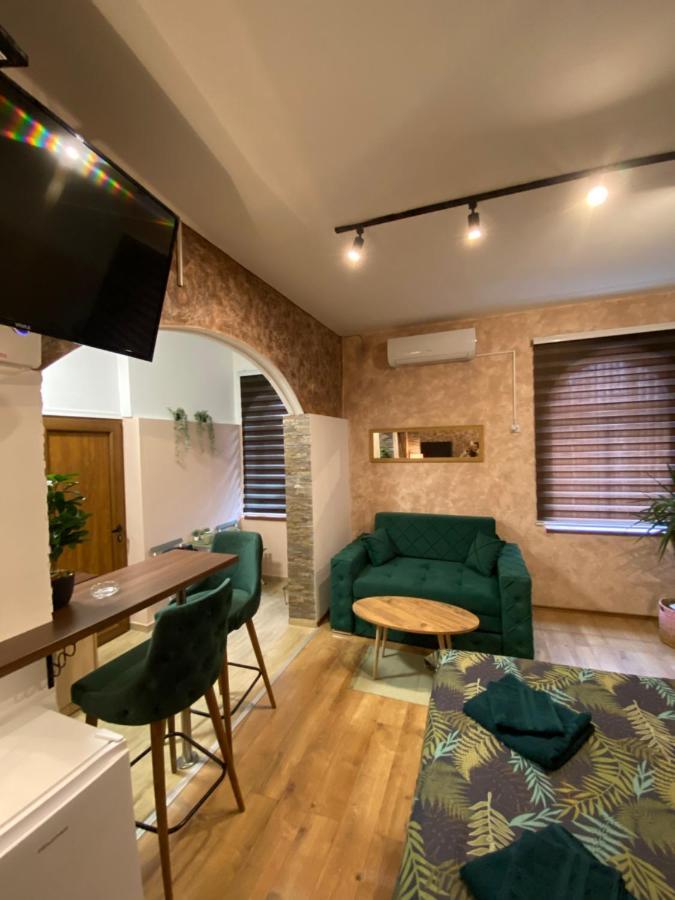 Delux Apartman Požarevac 외부 사진